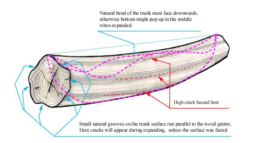 trunk